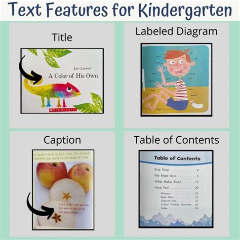 Text Features Live Worksheets