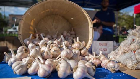 A giant Garlic Festival is coming to Toronto on September 15 | Dished