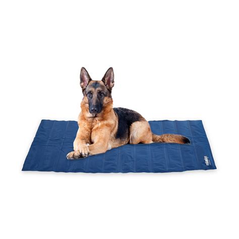 Relaxdays Matelas rafraîchissant chiens 120 x 75 cm tapis pour plus