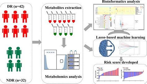 Frontiers Plasma Metabolomics Reveals Metabolic Profiling For