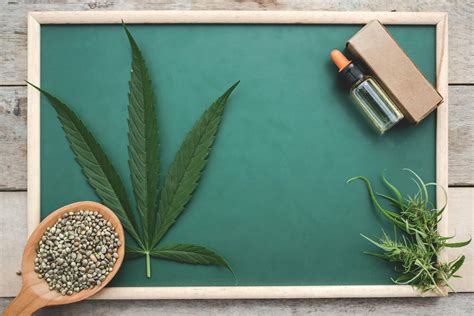 Todo sobre el cannabis terapéutico beneficios uso y controversias