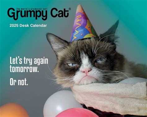 Grumpy Cat Boxed Calendar Plastic Free Packaging Calendars