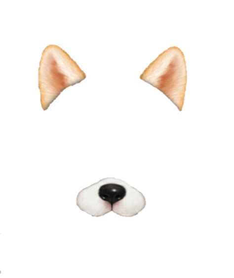 Nose Body Jewellery - Dog Ear png download - 480*571 - Free Transparent ...