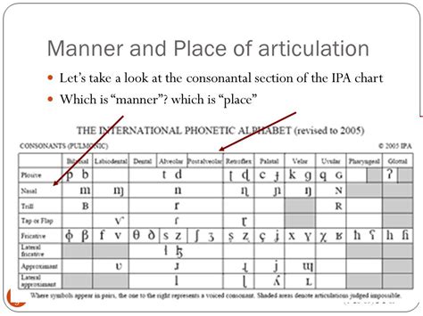 Place Of Articulation And Manner Of Articulation Chart A Visual