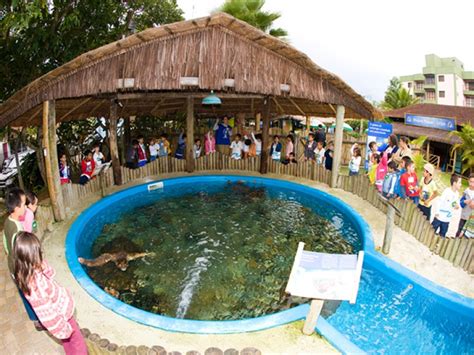 Caraguá Verde Conheça Nosso Litoral Projeto Tamar