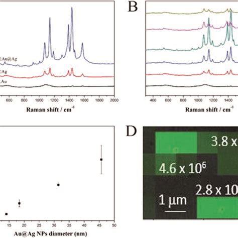 A Comparison Of Sers Spectra Of Sio2au Sio2ag And Sio2auag Nps