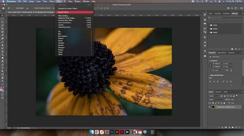 How To Use The Color Transfer Neural Filter In Adobe Photoshop