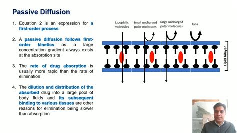 Mechanisms Of Drug Absorption Part I Passive Diffusion I