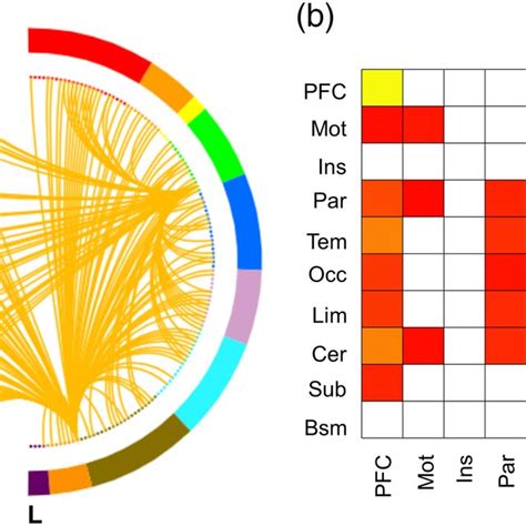 Functional Connections Predicting Trust Preferences A The