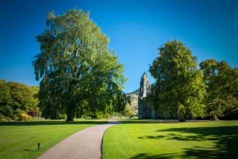 Visit Holyrood Abbey | The Palace of HolyroodHouse