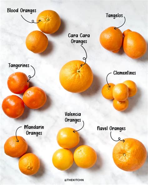 11 Types of Oranges (and How to Use Them!) | The Kitchn