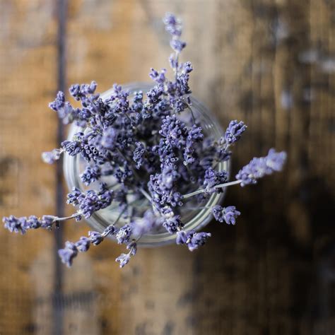 Echte lavendel essentiële olie OrthoFyto 3 23 juni 2023 Geert De Vuyst