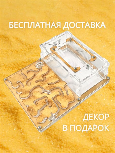 Купить муравьиную ферму с муравьями, кормом и декором недорого ...