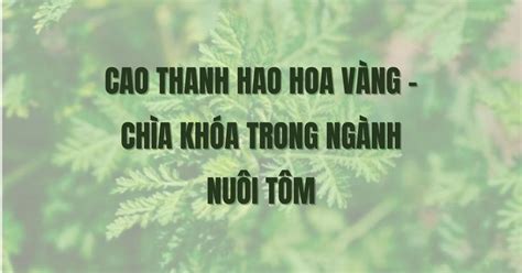cao thanh hao hoa vang chia khoa trong nganh nuoi tom thien tue
