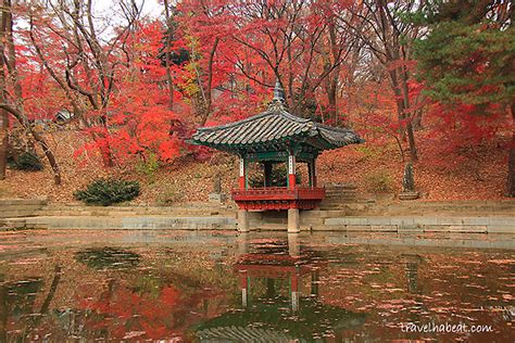 Changdeokgung Palace and the Secret Garden in Autumn - Go Travel First