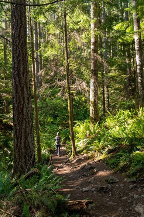 The 20 Best Hikes Near Seattle A Complete Hiking Guide