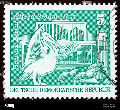 Ddr Um Eine In Der Ddr Gedruckte Briefmarke Zeigt Pelican