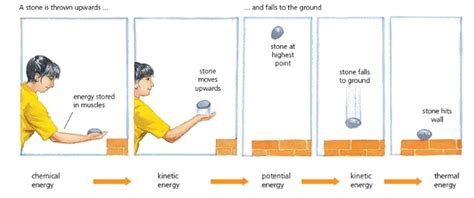 Work And Energy Diagram Quizlet