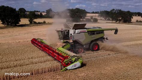 Harvest Claas Lexion Tt With Convio Header Cutting