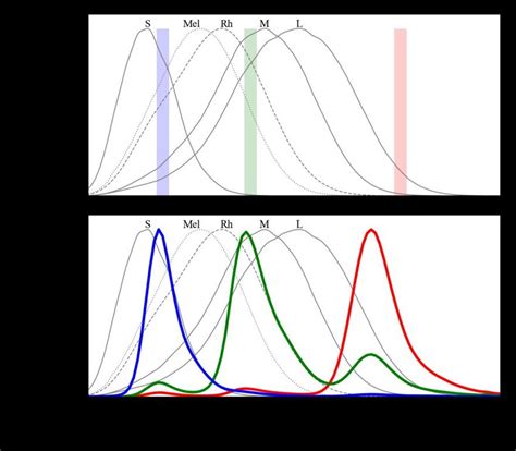 A The Spectral Sensitivity Curves Of Rods Rh Cones S M L And