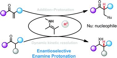 Catalytic asymmetric enamine protonation reaction - Organic ...