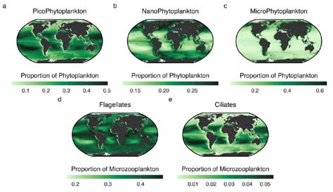 Figure S3 Distribution Of Phytoplankton And Micro Zooplankton Biomass