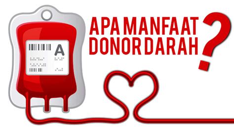 Ini Manfaat Donor Darah Yang Harus Kamu Tahu Biem Co