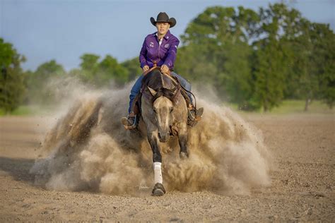 Gotta Twist It Up In Foal Partners Quarter Horse Stallions