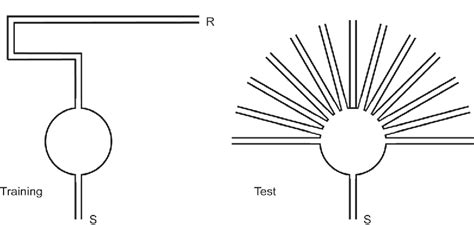 [PDF] Revisiting tolman , his theoRies and cognitive maps | Semantic ...