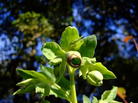 lobservatoire gard nature