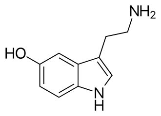 File Serotonin 5 HT Svg Wikimedia Commons