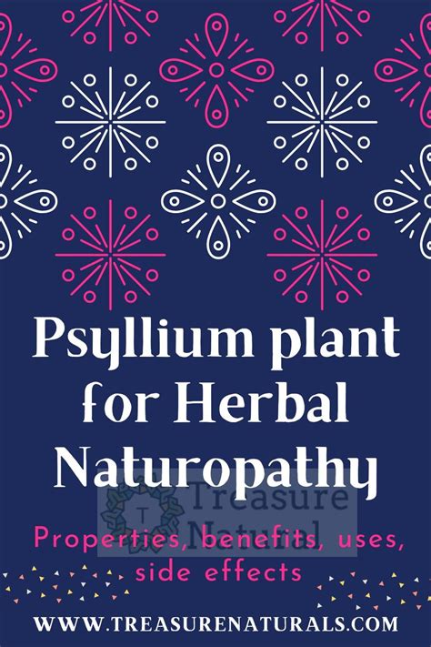 Psyllium plant for Herbal Naturopathy: properties, benefits, uses, side ...