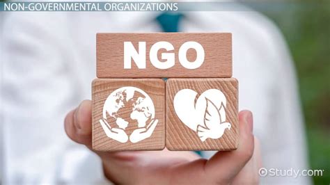 The Role Of NGOs In Sustainability Lesson Study