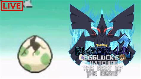 Baby Moment Hatching The Rest Of The Eggs Pokemon Blaze Black 2