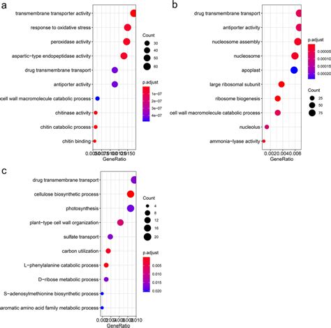 Dot Plots Of The Top 10 Gene Ontology Go Terms Using Go Enrichment Download Scientific