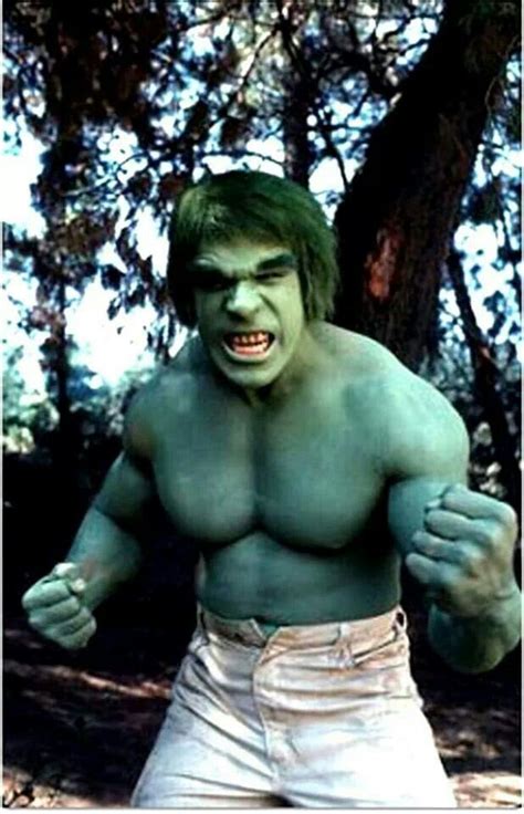 19 Best The Incredible Hulk Images On Pinterest Incredible Hulk Hulk Smash And Bill Obrien