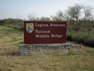 Birding! A Growing Obsession!: Laguna Atascosa - Texas 2010