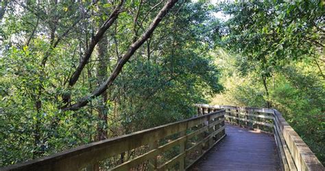 Best Things To Do In Texas Houston Arboretum And Nature Center