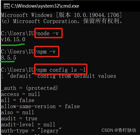 Nodejs的zip压缩包版安装【win10专业版】nodejs Zip安装 Csdn博客