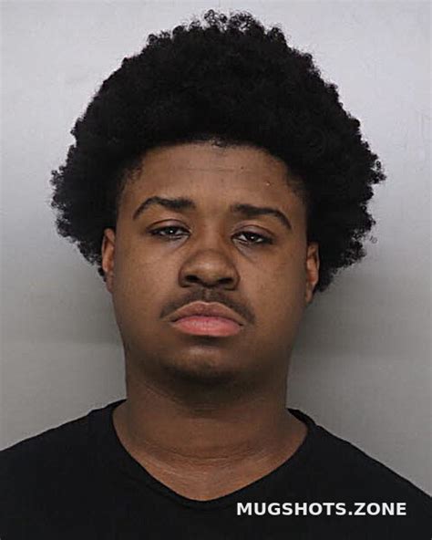 HIGGINS DAAMARI 04 16 2024 Hamilton County Mugshots Zone