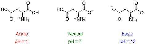 Draw Aspartic Acid Aspartate At Ph 1 Ph 7 And Ph 13 Include Hydrogen Atoms