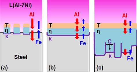 Formation Mechanism Of The Reaction Layer Formed By The Dissolution And