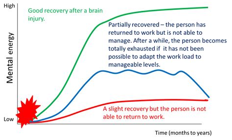 Long Lasting Mental Fatigue After Traumatic Brain Injury A Major