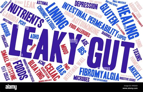 Leaky Gut Word Cloud On A White Background Stock Vector Image And Art Alamy