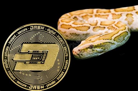 Oro Python Y Rociada Del Cryptocurrency De La Moneda Stock De