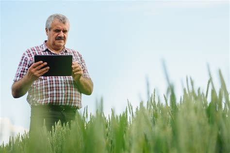 Retrato De Agr Nomo Agricultor Senior En Campo De Trigo Mirando En La