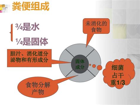 粪便检查pptword文档在线阅读与下载无忧文档