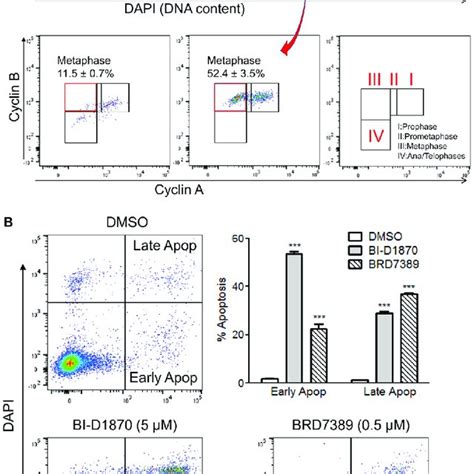 Metaphase Arrest By The Treatment Of Bi D A Hl Cells Were