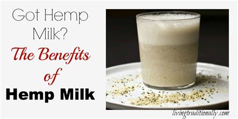 The Benefits of Hemp Milk