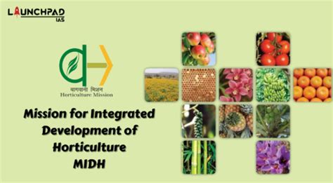 Midh Mission For Integrated Development Of Horticulture